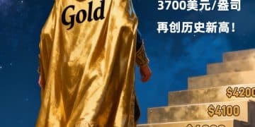 再创纪录新高，国际金价突破3700美元｜财眼