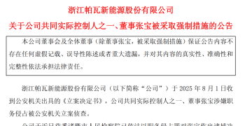 涉嫌侵占公司1.9亿元资金，张宝被批捕！他是大学博导，从教书到经商，成为上市公司董事长和实控人