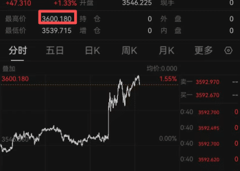 金价爆了，再创历史新高！有人花20多万元买金条