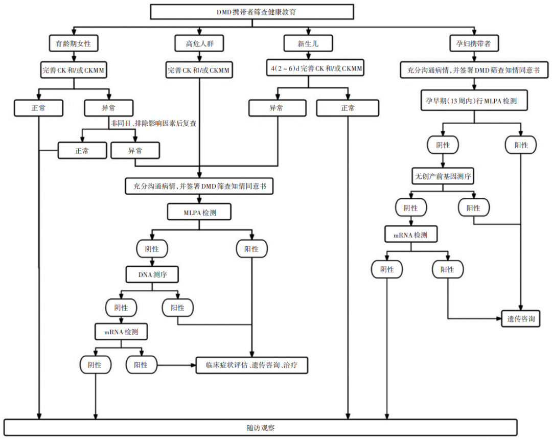 CFF20LXzkOzjGgksuhBjsuC6tsoct0RGsUKGU0xiaG6woj4B7O25BfcYdTO1Tiageu5Aic6kiciaq5icRib82DemSm1ow.png