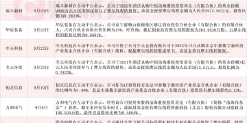 摩尔线程科创板IPO上会在即 十余家上市公司回复参股投资情况