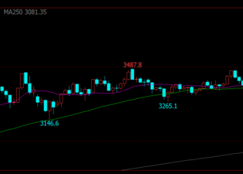 美股、国际金价齐创历史新高！英伟达大涨近4%！补库行情步入尾声 鸡蛋价格怎么走