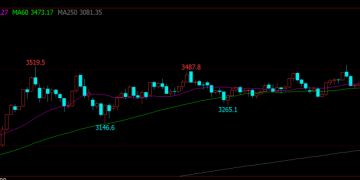 美股、国际金价齐创历史新高!英伟达大涨近4%!补库行情步入尾声 鸡蛋价格怎么走