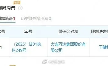 王健林被限制高消费
