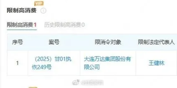 王健林被限制高消费