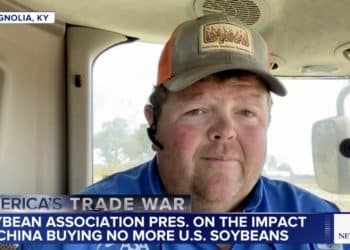 中国未下任何订单！豆农急了 美国大豆协会主席向特朗普发出紧急呼吁