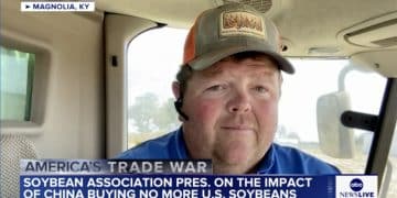 中国未下任何订单！豆农急了 美国大豆协会主席向特朗普发出紧急呼吁