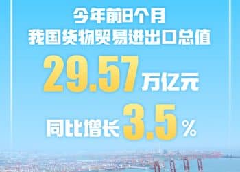 进出口总值超29万亿元 今年前8个月我国货物贸易实现平稳增长
