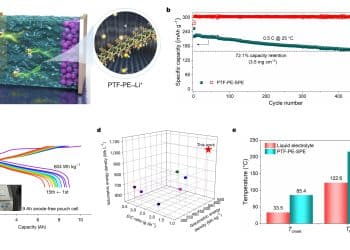 我国科学家在固态电池聚合物电解质研究领域取得进展