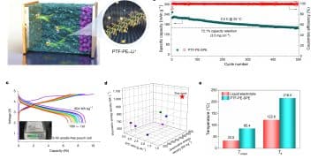 我国科学家在固态电池聚合物电解质研究领域取得进展