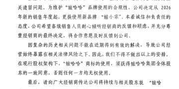 娃哈哈或启用新品牌「娃小宗」 宗馥莉另立门户？