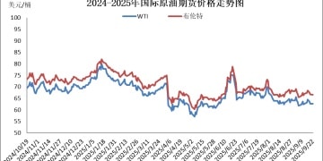 年内第六次搁浅 本轮成品油价不作调整