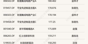 「9·24 行情」一周年：主动权益基金 「翻倍基」批量涌现 长期配置逻辑成关键