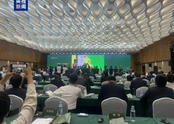 年代更精确、发现铸造新技术 三星堆科研成果「上新」