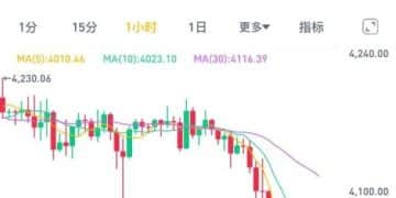加密货币市场价格集体重挫 近14万人爆仓