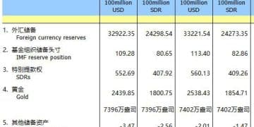 8月末我国外汇储备规模为33222亿美元 央行连续第10个月增持黄金