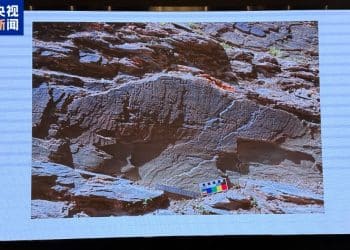 重要发现！扎陵湖秦代刻石得到认定！每经独家采访当地牧民：40年前就曾看见，在他家牧场内