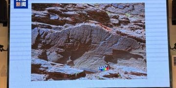 重要发现！扎陵湖秦代刻石得到认定！每经独家采访当地牧民：40年前就曾看见，在他家牧场内