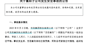 6天前的晚上，硫酸产线出事故，5名一线工人死亡！钛白粉龙头今夜公告：有序停产！涉事子公司去年营收超38亿元