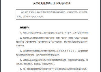曾是行业龙头，确定退市！公司拒接证监局电话，总经理「甩锅」表亲：我被他骗了