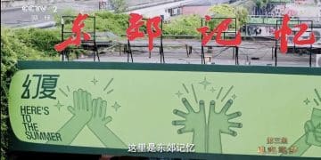 「奇迹」正在上演！东郊记忆于央视最新亮相