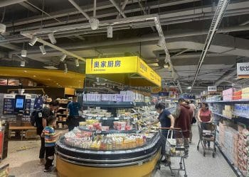 硬折扣赛道「肉搏」升级：奥乐齐中国换帅陈佳，本土化能否扛住盒马、京东围堵？