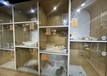 金店退租，商场欲引入宠物摄影店  一只猫卖5万8，毛孩子成了商场新流量密码？丨宠物经济④