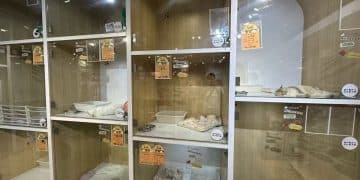 金店退租，商场欲引入宠物摄影店  一只猫卖5万8，毛孩子成了商场新流量密码？丨宠物经济④