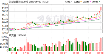 股价起飞！华友钴业与LG新能源签订长单：5年16.4万吨三元材料