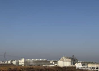 AI靠听咳嗽声监控猪健康与否，还让「二师兄」先享受全年25℃的房间｜「长假走中国•AI探热度」系列报道④