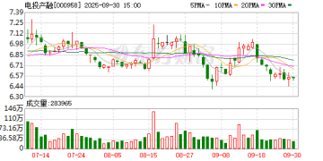 国电投核电资产上市突遇「插曲」 深交所对电投产融重组中止审核