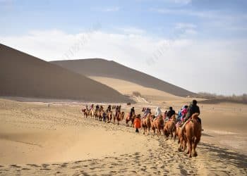 2025年「超级黄金周」数据盘点：出境入境双线升温，音乐节和体育赛事再度带火县域旅游