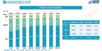 中国研发中心首个成果将于明年「上车」 保时捷潘励驰：赢回中国市场是一场马拉松