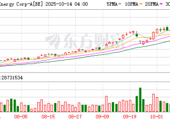 美国燃料电池公司斩获50亿美元投资 剑指AI工厂电力新生态