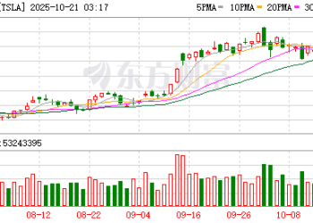 「木头姐」力挺马斯克天价薪酬方案：将以压倒性优势获批
