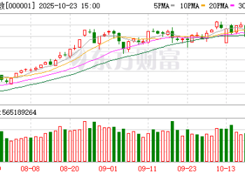多家外资机构力挺A股 高盛：中国股票的慢牛行情正在酝酿中