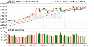 多家外资机构力挺A股 高盛：中国股票的慢牛行情正在酝酿中