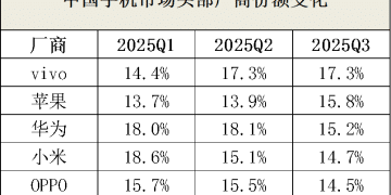 vivo不能停