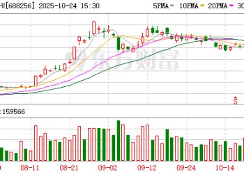重大信号！「寒王」登顶 外资：上调目标价！