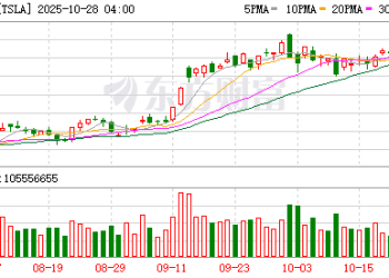 特斯拉董事长：若1万亿美元薪酬方案被否决 马斯克可能离开公司