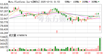 Meta大举押注AI引发投资者担忧 据悉拟发行250亿美元债券筹资