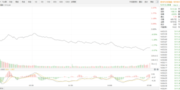 【新华500】新华500指数（989001）10日跌2.03%