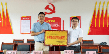 乡村振兴,金信在行动 | 以党建为笔,绘就公益温暖画卷