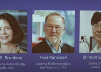 最新！2025年诺贝尔生理学或医学奖揭晓