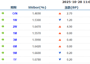 货币市场日报：10月28日