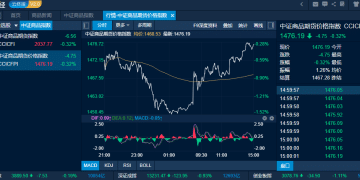 商品日报（10月13日）：宏观利空冲击玻璃铜盘中跌超4% 贵金属恒强甲醇逆势涨超2%