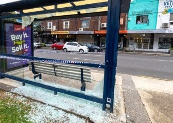 突发！这国发生无差别枪击事件致20伤，多车受损！警方称枪手开出50至100枪