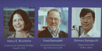 2025年诺贝尔生理学或医学奖揭晓