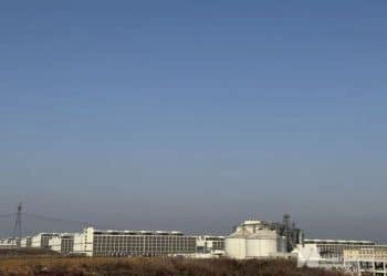 AI靠听咳嗽声监控猪健康与否，还让「二师兄」先享受全年25℃的房间｜「长假走中国•AI探热度」系列报道④