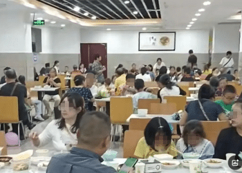 「一中午吃了550斤米」！多地政府机关食堂国庆向社会开放，游客：3个人点9个菜只要58元，味道很好